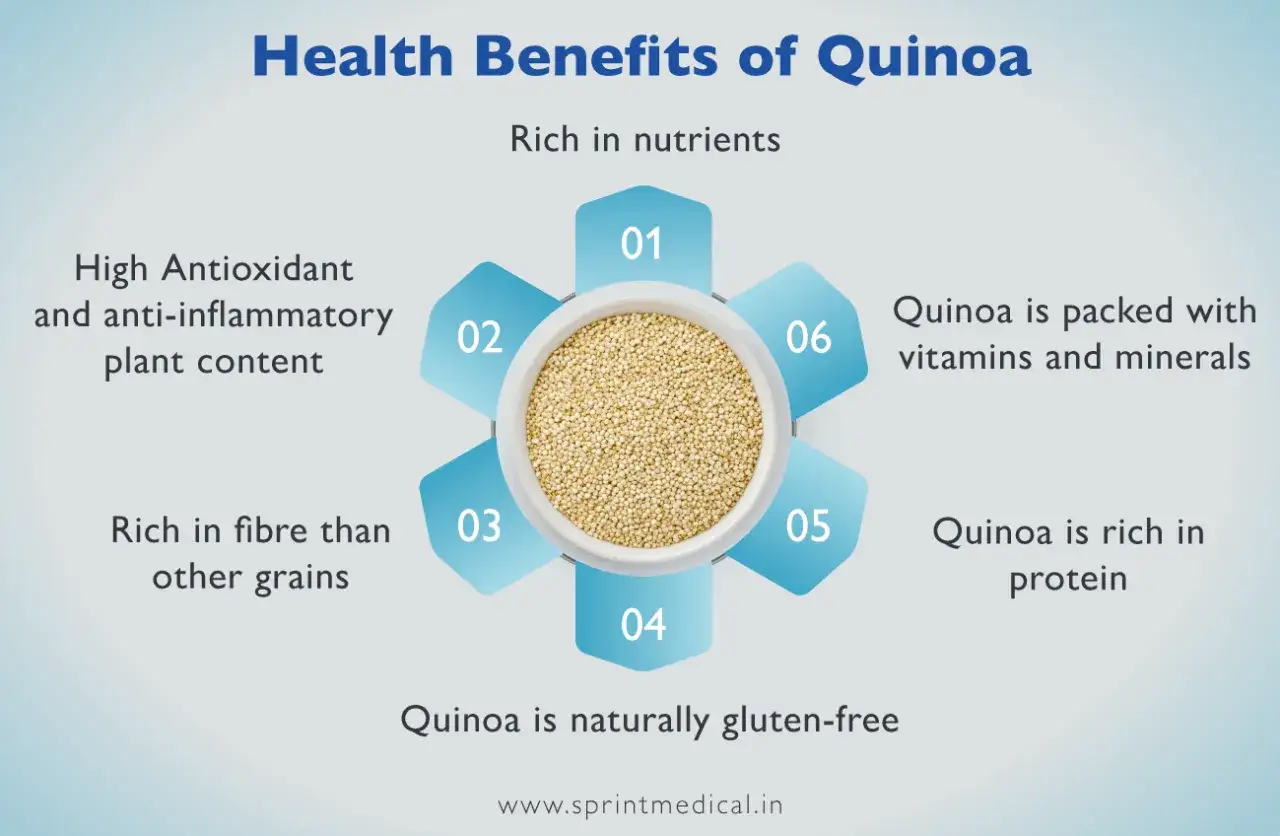 Le quinoa, riche en fibres, est un superaliment aux multiples bienfaits : antioxydant, anti-inflammatoire, plein de nutriments, vitamines, min&eacute;raux et prot&eacute;ines.