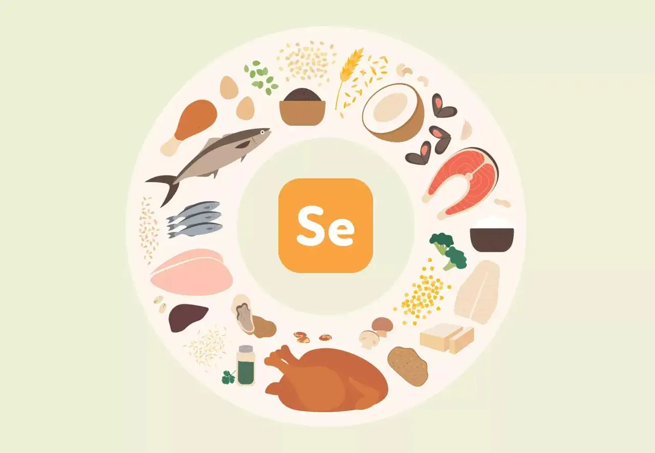Le sélénium, essentiel pour la santé, se trouve dans ces aliments : poisson, poulet, œufs, noix, champignons, brocolis, riz, noix de coco.