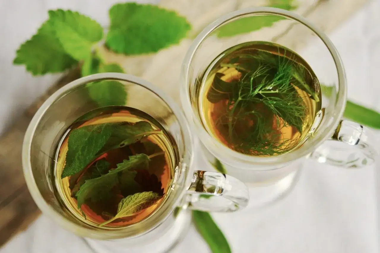 Deux tasses transparentes r&eacute;v&egrave;lent la diff&eacute;rence entre th&eacute; et infusion : l'une avec des feuilles de menthe, l'autre avec de l'aneth.