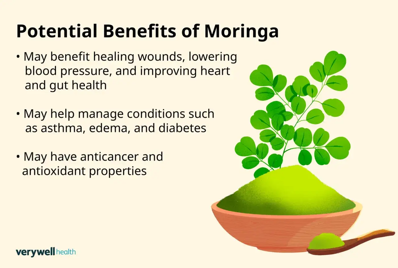 Les nombreux moringa bienfaits incluent l'aide à la cicatrisation, la régulation de la pression sanguine et la gestion de conditions comme l'asthme.