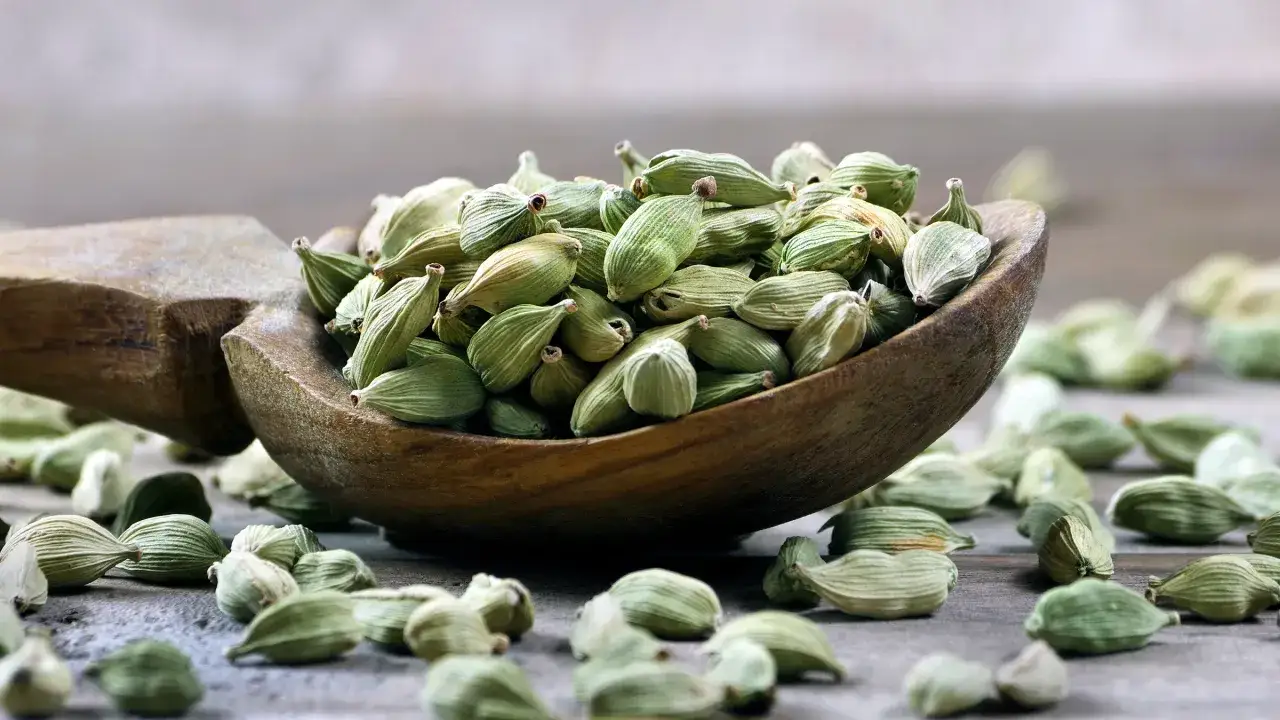 Une cuill&egrave;re en bois d&eacute;borde de cardamome verte, ses gousses &eacute;voquant les nombreux cardamome bienfaits pour la sant&eacute; et la cuisine.
