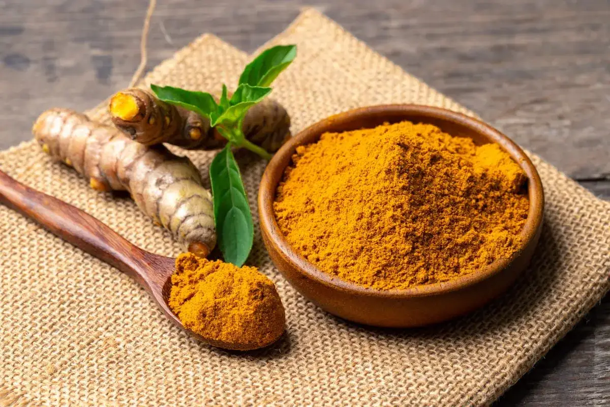 Racines de curcuma et curcuma en poudre dans un bol et une cuillère en bois, évoquant les bienfaits du curcuma en poudre pour la santé.