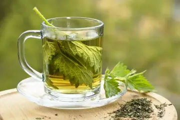 Une tasse en verre remplie d'infusion ortie, avec des feuilles fraîches et séchées à côté.