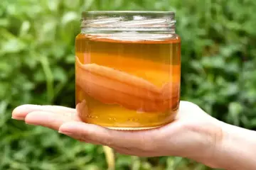 Un bocal de kombucha, boisson fermentée, tenu dans une main. Le SCOBY flotte dans le liquide ambré.