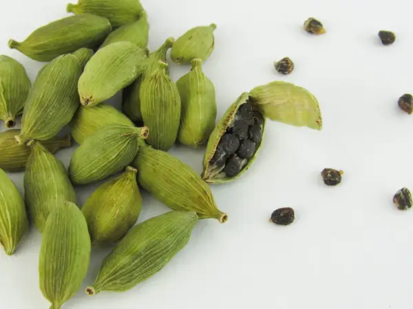 Gousses de cardamome verte, une ouverte révélant ses graines noires. Découvrez les cardamome bienfaits pour la santé et la cuisine.