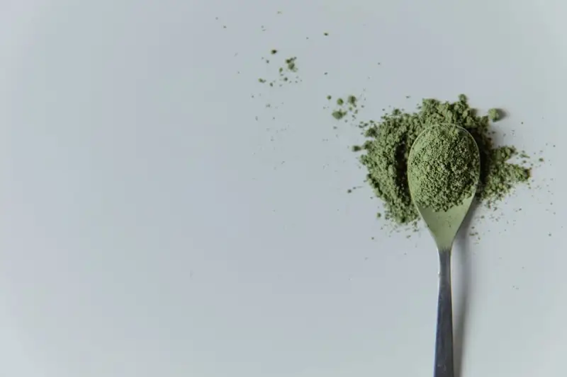 Cuillère remplie de poudre verte, rappelant la chlorella. Attention aux contre-indications avant consommation.