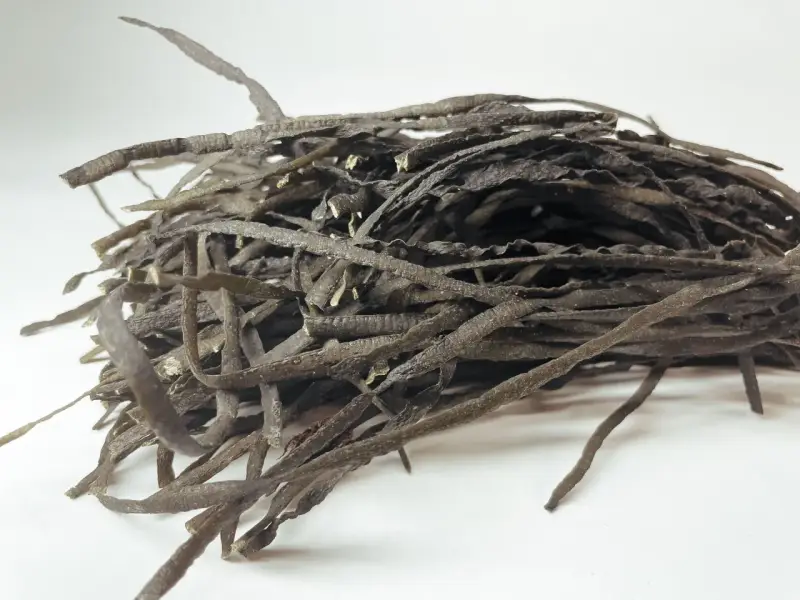 Un tas de spaghetti de mer séchés, ressemblant à des fils sombres et ondulés, prêts à être réhydratés pour un plat savoureux.