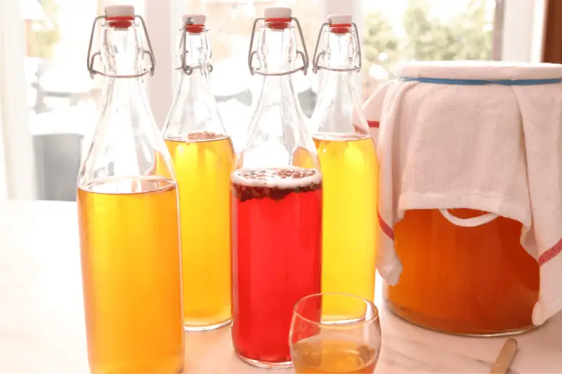 Bouteilles de kombucha jaune et rouge, prêtes pour la fermentation. Apprenez comment faire du kombucha maison.