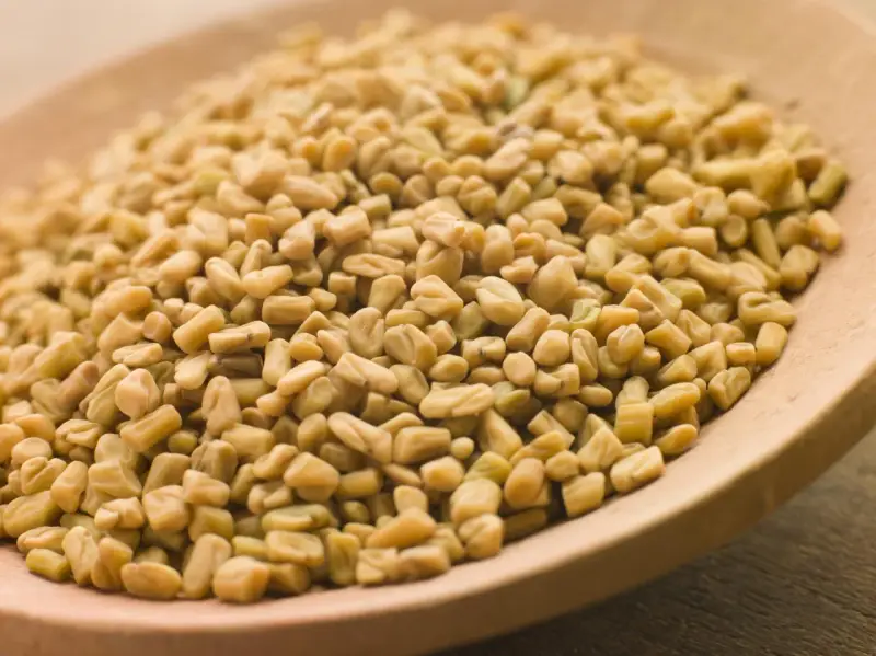 Graines de fenugrec sur une cuillère en bois, une aide naturelle pour gérer l'hypertension.